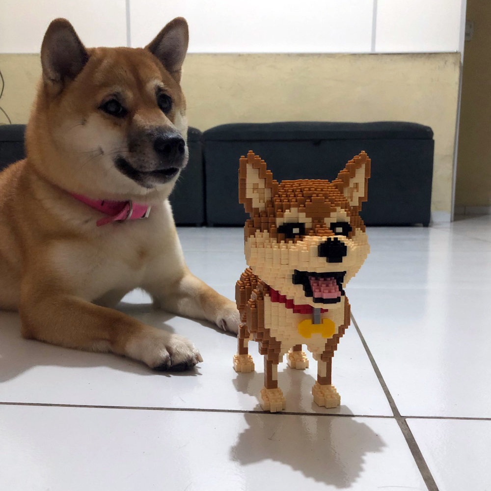 WIST GEBOUWD Shiba Inu Honden  - Kids Education And Recreation recensie en prijs